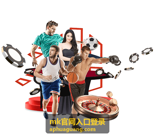 MK官网入口登录错误码提示查询图示