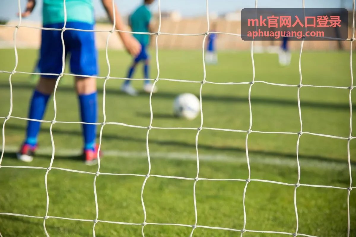 MK官网入口登录多因素验证上线通知图