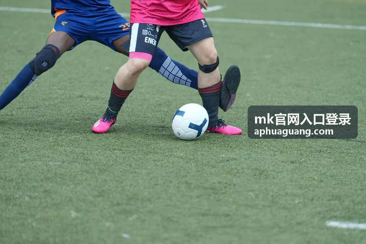 MK官网入口登录多端访问说明图
