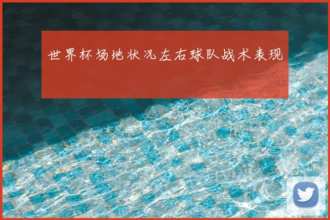世界杯场地状况左右球队战术表现