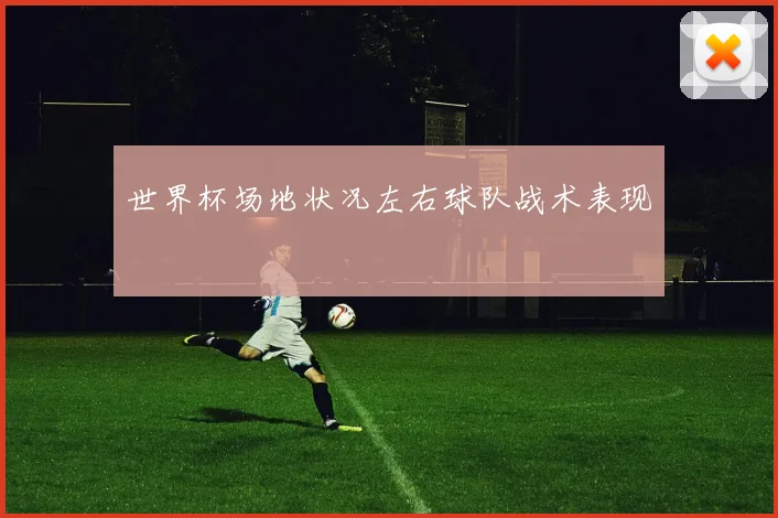 世界杯场地状况左右球队战术表现