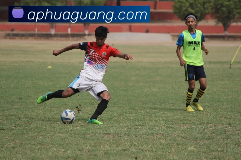 世界杯平台官网登录服务体系