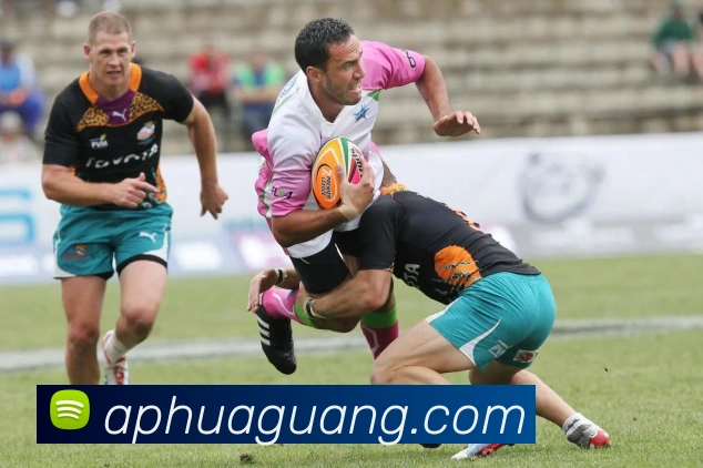 多媒体互动体验